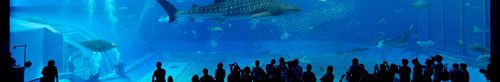  Zoos &amp; Aquarien 
