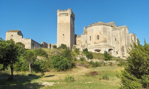 Abbazia di Montmajour Foto
