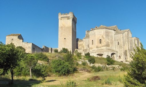 Abbaye de Montmajour Photos