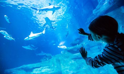 Acuario de París Fotos
