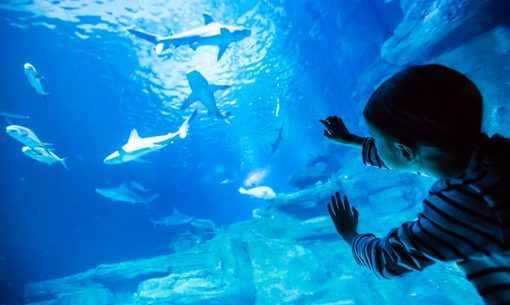 Aquarium de Paris Photos
