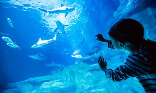 Aquarium de Paris Photos