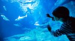 Aquarium of Paris Photos