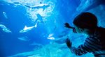 Aquarium of Paris Photos