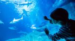 Aquarium of Paris Photos