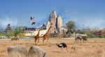Paris Zoological Park Photos