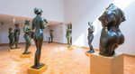 Musée Maillol Photos