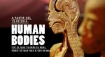 Exposition Temporaire Human Bodies Anatomia de la Vida - Barcelone