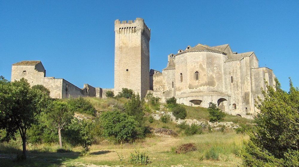 Abbazia di Montmajour Foto 2