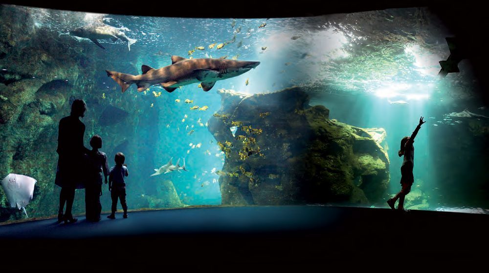 Aquarium La Rochelle Photos 7