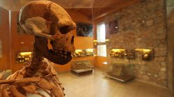 Musée de Préhistoire de Tautavel