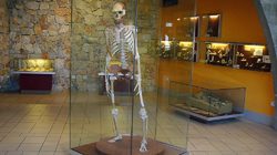 Musée de Préhistoire de Tautavel