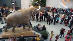 Muséum d'histoire naturelle de Toulouse 