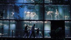 Muséum d'histoire naturelle de Toulouse 