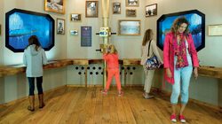 Muséum d'histoire naturelle de Toulouse 