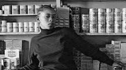 Pompidou Centre -  Temporary Exhibition- David Goldblatt Photos 5