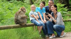Montagne des Singes