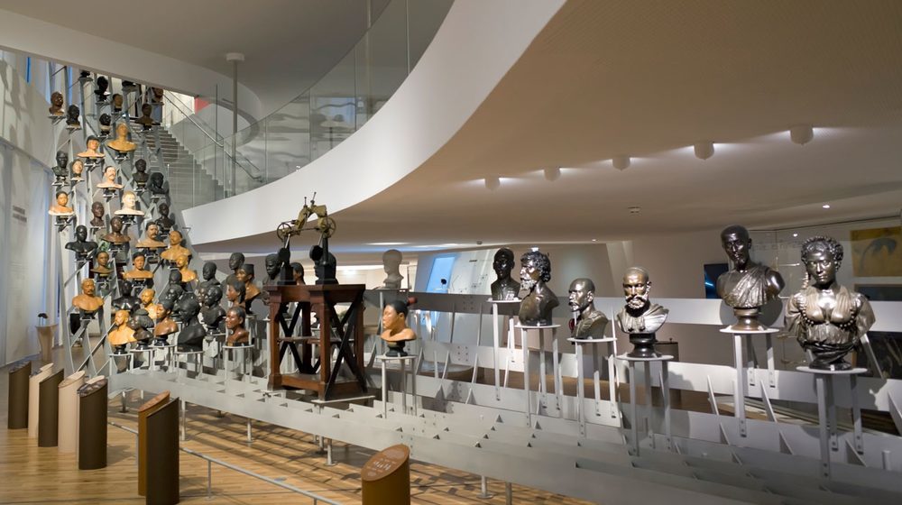 Musée de l'Homme Photos 2