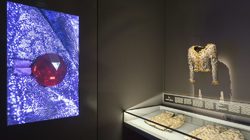 Musée Yves Saint Laurent Paris : Veste du soir dite ''Hommage à ma maison'' © Musée Yves Saint Laurent Paris / Luc Castel