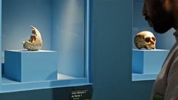 Musée de l'Homme - Temporary Exhibition - Neanderthal Photos 1