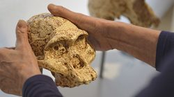 Musée de l'Homme - Temporary Exhibition - Neanderthal Photos 2