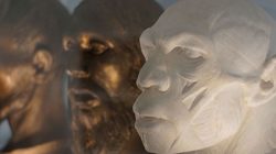 Musée de l'Homme - Temporary Exhibition - Neanderthal Photos 4