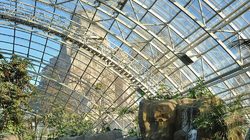 Paris Zoological Park Photos 1