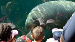 Paris Zoological Park Photos 2