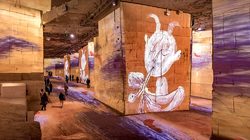 Cave di Luce - Mostra Temporanea - Picasso Foto 5