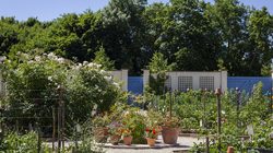 Le potager de la propriété Caillebotte