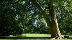 Le parc