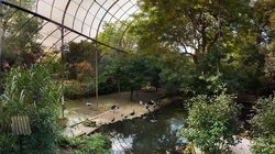 Menagerie, lo zoo del Jardin des Plantes Foto 5