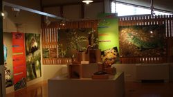 Ecomusée de la Forêt à Gardanne