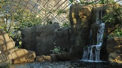 Paris Zoological Park Photos 5