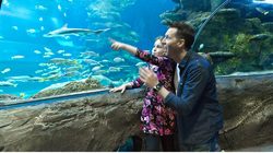 Aquarium Sea Life à Londres - un superbe moment en famille