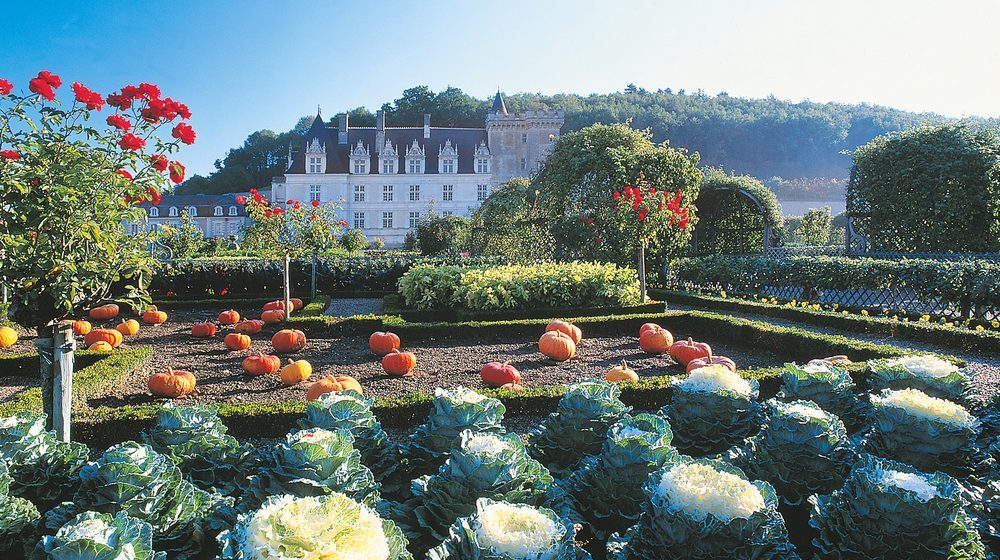 Château de Villandry Photos 1