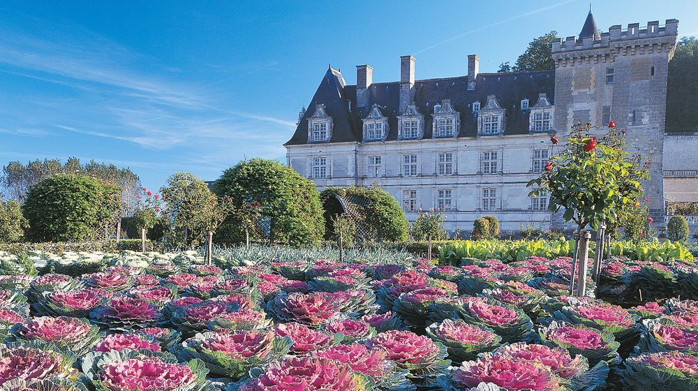 Château de Villandry Photos 4