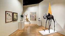 Espace Dalí Photos 5