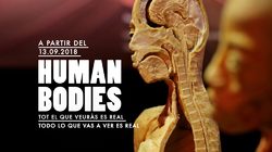 Exposition Temporaire Human Bodies Anatomia de la Vida - Barcelone