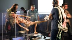 Exposition Temporaire Human Bodies Anatomia de la Vida - Barcelone