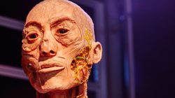 Exposition Temporaire Human Bodies Anatomia de la Vida - Barcelone