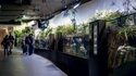 Aquarium de Paris • Cinéaqua • En face de la Tour Eiffel sous le Trocadéro