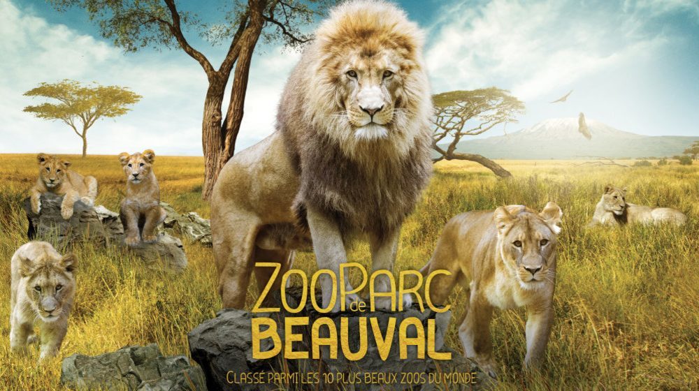 Zoopark von Beauval Fotos 5
