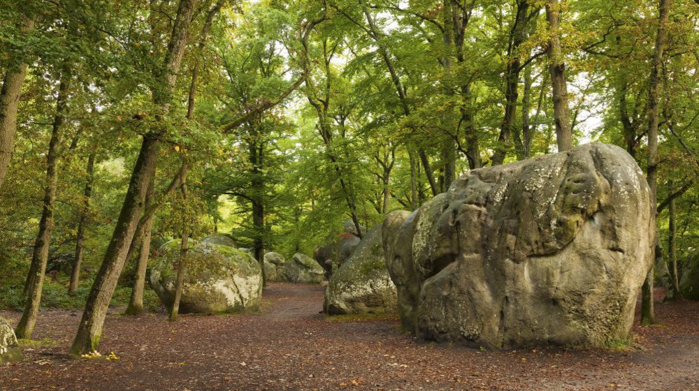 castelo de Fontainebleau Fotos 6