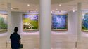Visite du Musée Marmottant Monet