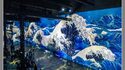 Atelier des Lumières - Exposition "Van Gogh / Japon Rêvé"