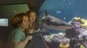  La Cité de la Mer - Aquarium & Musée Maritime à Cherbourg (Normandie)