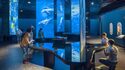  La Cité de la Mer - Aquarium & Musée Maritime à Cherbourg (Normandie)