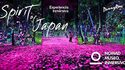  Nomad Museo Madrid - Exposition THE SPIRIT OF JAPAN
