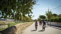 Visite du vignoble, dégustation de vin et expérience de voile (option vélo électrique ou voiture)